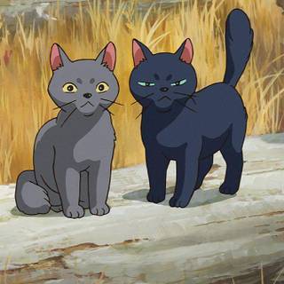 Tib and Gib cats wallpaper