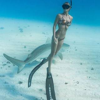 Ocean Ramsey wallpaper