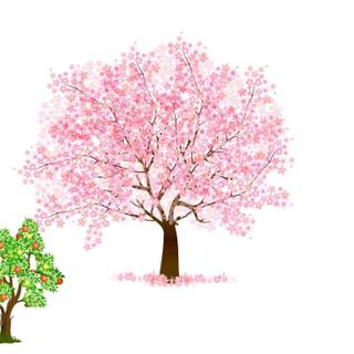 Tu BiShvat wallpaper