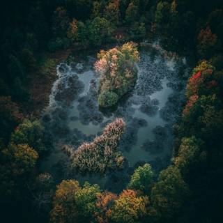 iPhone X UHD wallpaper