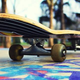 Skateboards wallpaper