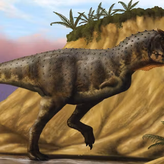 Carnotaurus wallpaper