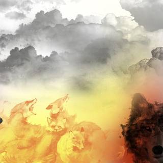 Spirit animals wallpaper