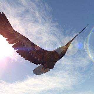 Bald eagles wallpaper