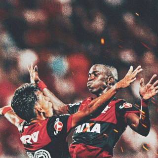Paquetá wallpaper