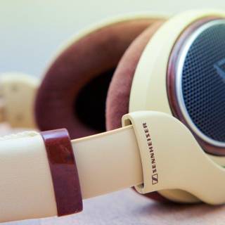 Sennheiser wallpaper