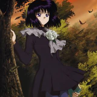 Hotaru wallpaper