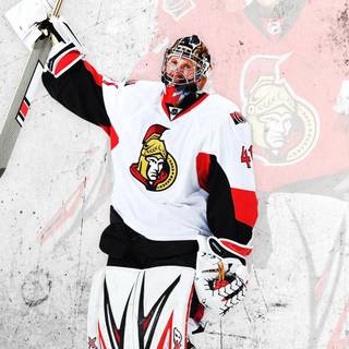 Goaltender wallpaper