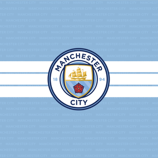 Man City 18/19 wallpaper