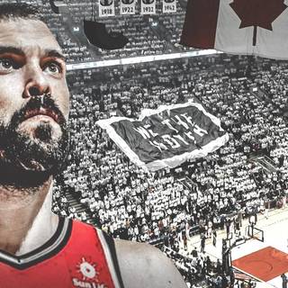 Marc Gasol Toronto Raptors wallpaper