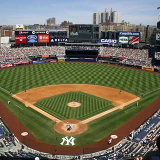 New York Yankees 2019 wallpaper