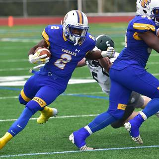 Misericordia University wallpaper