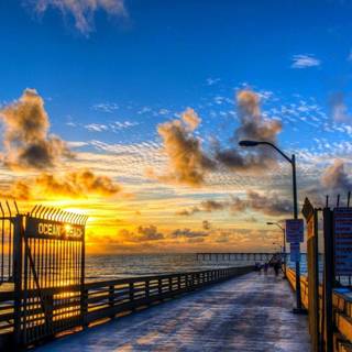 University of California San Diego wallpaper