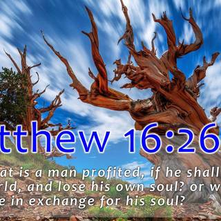 Matthew verse wallpaper