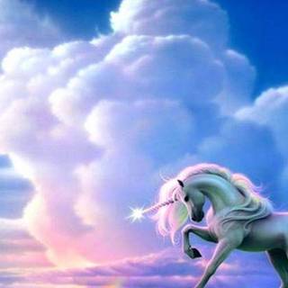Unicorns wallpaper