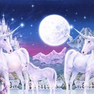 Unicorns wallpaper