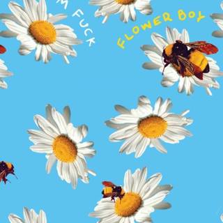 Tyler The Creator wallpaper