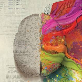 Brain wallpaper