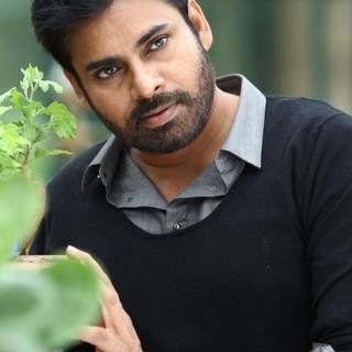 Pawan Kalyan wallpaper