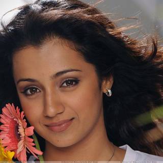 Trisha Krishnan wallpaper