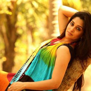 Dipika Kakar wallpaper