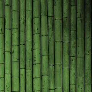 Bamboo wallpaper