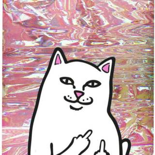 RipNDip wallpaper