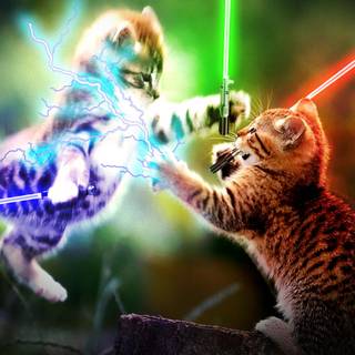 Kitten in space wallpaper