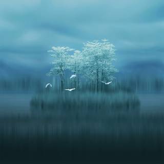 Huawei Mate 20 X wallpaper