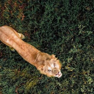 Step Up 2: The Streets wallpaper