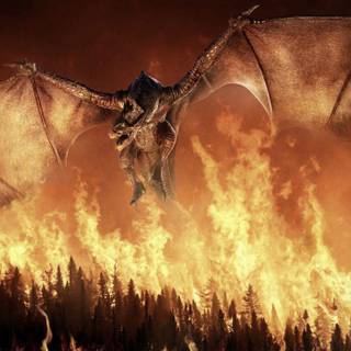 Burning forest wallpaper