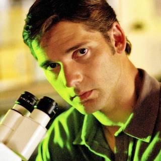 Bruce Banner Hulk wallpaper