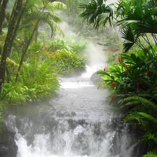 Tropical waterfall wallpaper