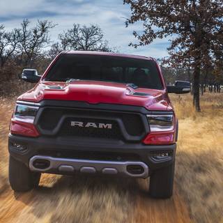 Ram lifted wallpaper