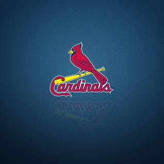 Cardinals wallpaper