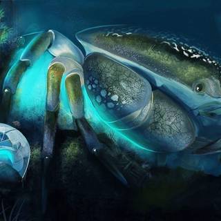 Aquarius Zodiac wallpaper