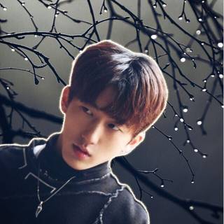 Changbin wallpaper