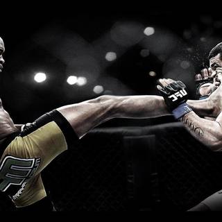 UFC 235 wallpaper