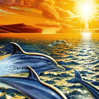 Dolphin 3D wallpaper