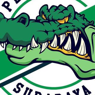 Persebaya Surabaya wallpaper