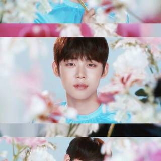 K-Pop Band TXT wallpaper