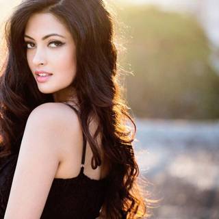 Riya Sen wallpaper
