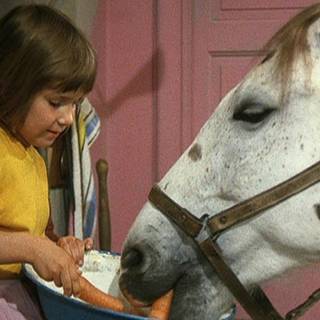 Pippi Longstocking wallpaper