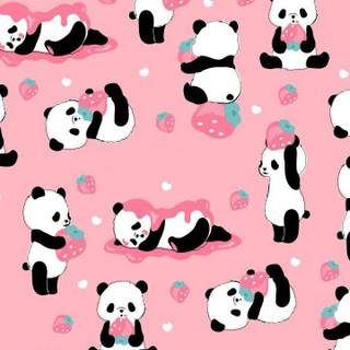 Kawaii Panda wallpaper