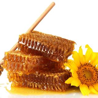Honey wallpaper