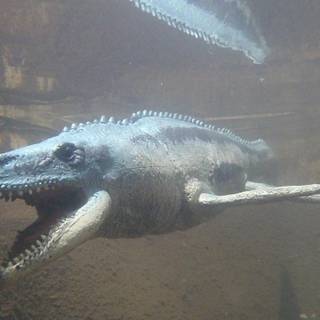 Mosasaurus wallpaper