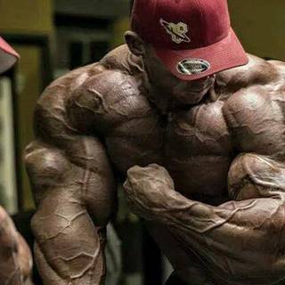 Body Building wallpaper