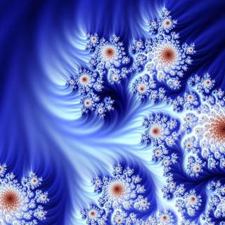 Blue flowers wallpaper