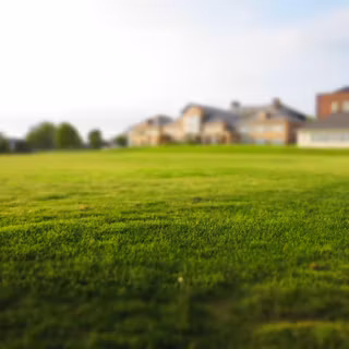 Grass wallpaper