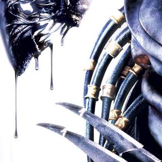 Alien vs. Predator wallpaper